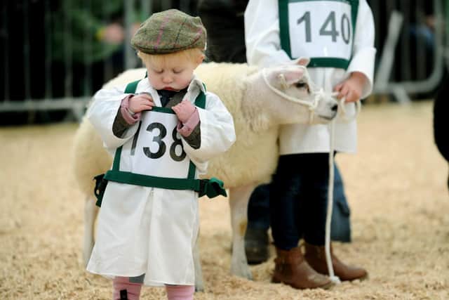 Young handlers 20-month-old Esmay Duddin of Chop Gate, helps brother Corey at the 2017 Countryside Live.

Picture Jonathan Gawthorpe