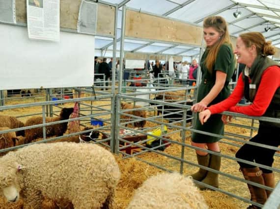 Amanda Owen, aka the Yorkshire Shepherdess, looking at a Devon and Cornwall Longwool sheep with Ruth Dalton (right), field officer for the Rare Breeds Survival Trust at Countryside Live at the Great Yorkshire Showground in Harrogate. Picture by Gary Longbottom.