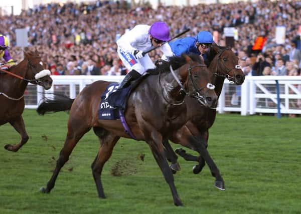 Winners: Sands Of Mali and Paul Hanagan land the British Champion Sprint Stakes.