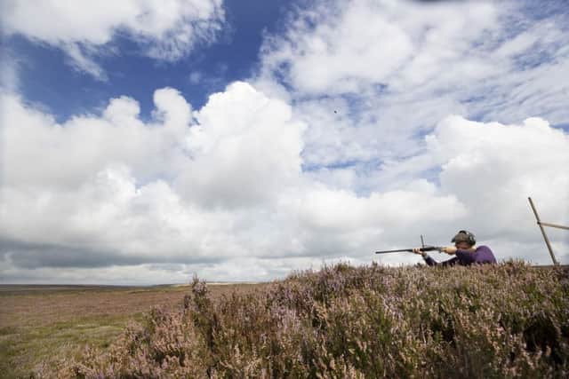 Should grouse shooting be banned?