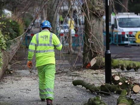 Sheffield trees: Council offers up new plan to fell fewer street trees after mediation talks with campaigners