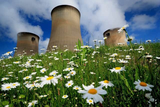 is the burning of biomass at Drax power station good for the environment?