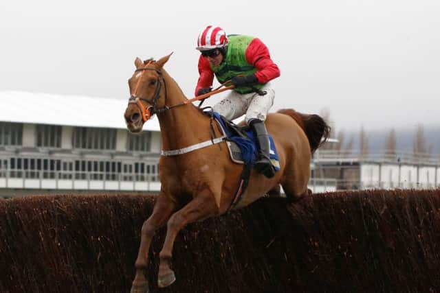 Danny Cook and Definitly Red in winning action at Cheltenham.