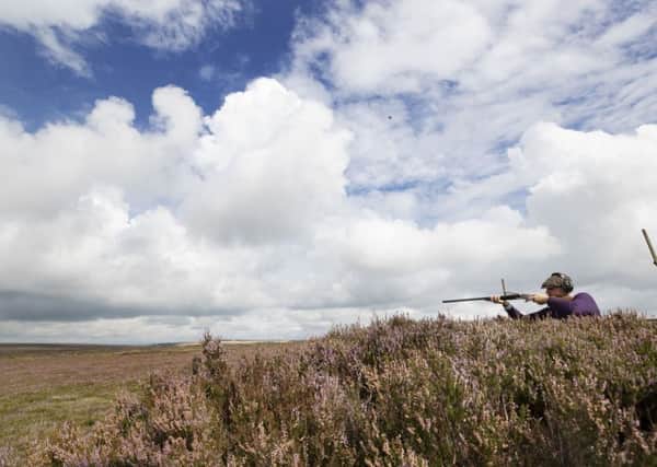 Is grouse shooting good for the Yorkshire environment and economy?