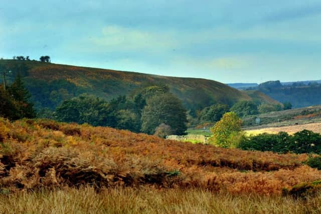 Autumn colours on the North York Moors, one of the country's iconic national parks.