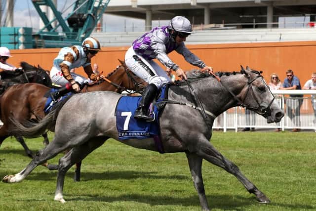 The Karl Burke-trained sprinter Havana Grey and jockey PJ McDonald are due to line up in the Breeders' Cup tonight.