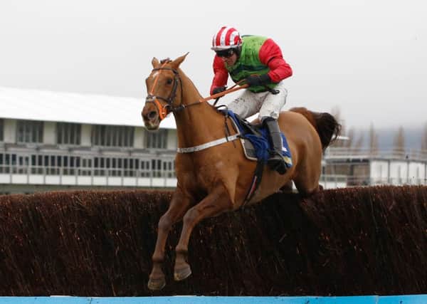 Dammy Cook and Definitly Red, pictured winning the Cotswold Chase at Cheltneham in late January.