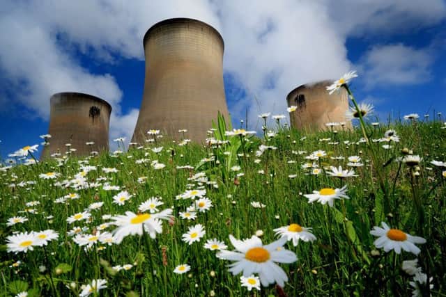 What should be the roles of power stations like Drax in Britain's new energy policy?