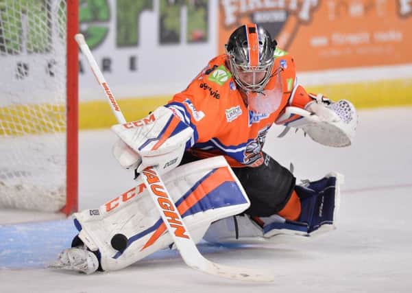 Jackson Whistle is currently the Sheffield Steelers' No 1 starting goalie. Picture; Dean Woolley.