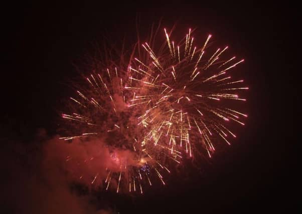 Fireworks at Roundhay Park. Photo: Gerard Binks