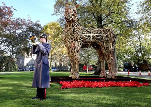 A bugler sounds the Last Post next to a wooden sculpture of a First World War horse in the grounds of Canterbury Cathedral in Kent following a service of dedication for their Field of Remembrance. Films lie War Horse have highlighted the sacrifices that animals made during the Great War.