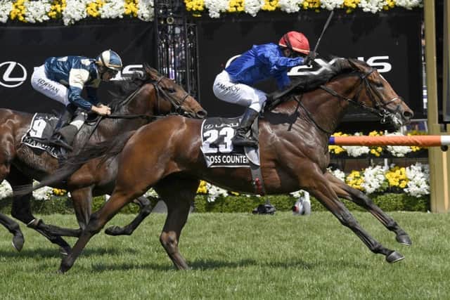 Cross Counter and Kerrin McEvoy win the Melbourne Cup.