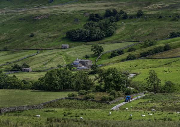 Almost a fifth of UK farmers are planning to diversify post-Brexit, according to a survey carried out by rural insurer NFU Mutual. Picture by James Hardisty.