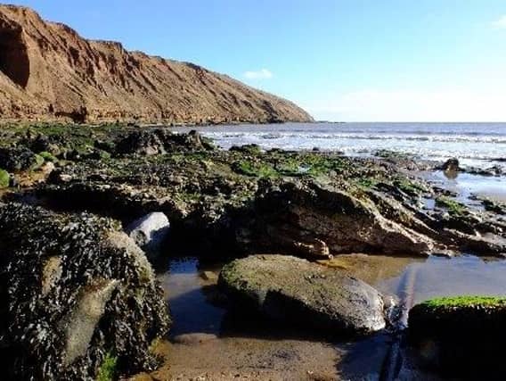 Filey coastline