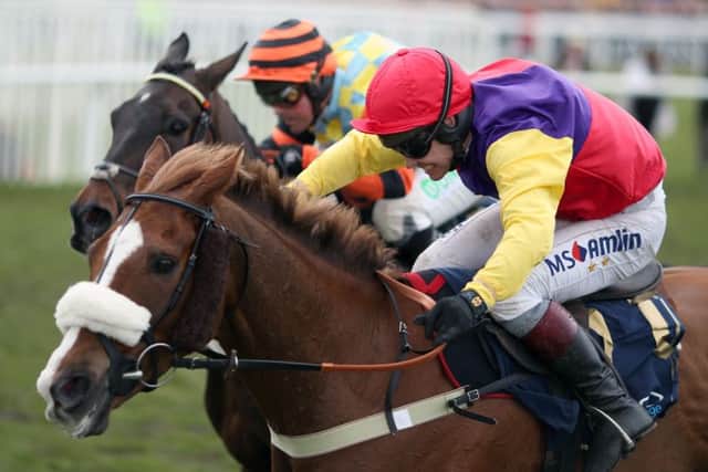 The Cheltenham Gold Cup between native River (near side) and Might Bite was one of the best renewals of the blue riband race.