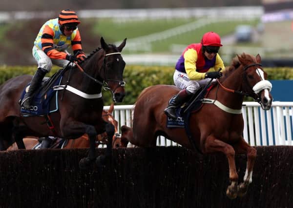 Native River (right) and Might Bite could renew their Cheltenham Gold Cup rivalry in the Betfair Chase at Haydock on November 24.