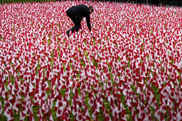 A security guard adjusts one of the thousands of Canadian flags honoring fallen soldiers which are planted on the front lawn of the Manulife head office in  Toronto.