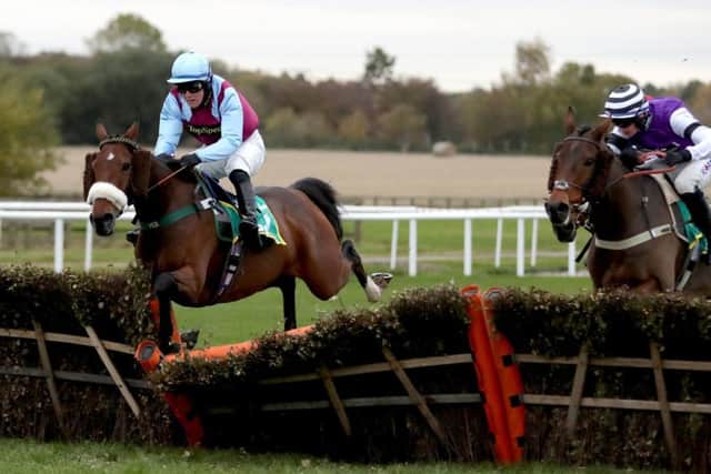 Nautical Nitwit and Tommy Dowson crash through the last flight in the West Yorkshire Hurdle.