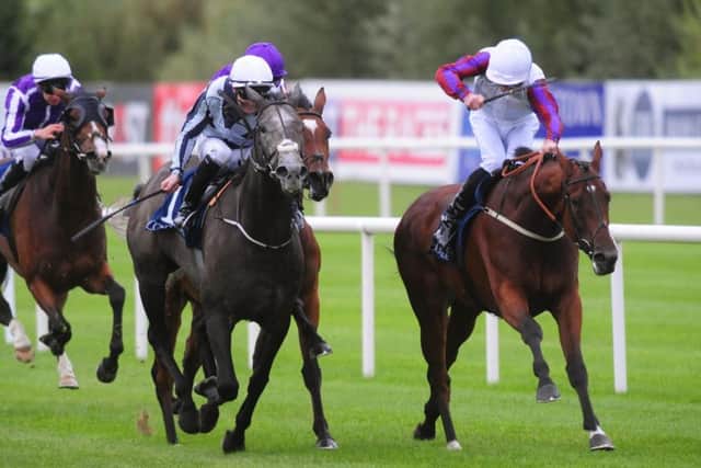 Big race successes for Danny Tudhope included Laurens in the Matron Stakes at Leopardstown (far right).