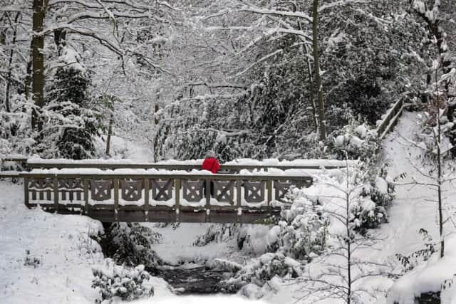 Heavy Snow in Roundhay Park, Leeds, in December 2010.