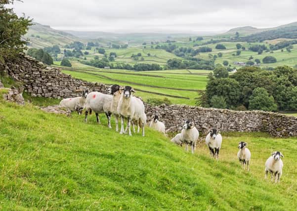 Farming's value to the rural economy runs far deeper than raw GVA figures, industry leaders told a committee of peers.