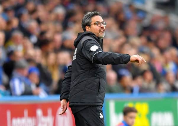 Huddersfield Town head coach David Wagner (Picture: Dave Howarth/PA Wire).