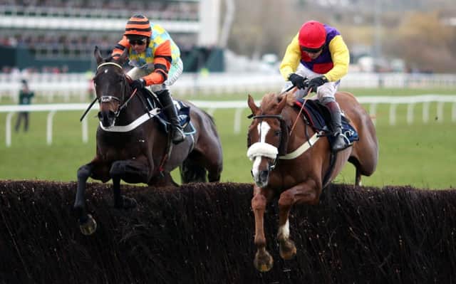 Native River (right) and Might Bite (left), first and second in the Cheltenham Gold Cup, renew rivalry at Haydock today.