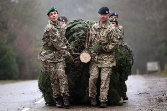Soldiers from 21 Engineering Regiment at Claro Barracks, Ripon, help erect the Christmas tree at Fountains Abbey.