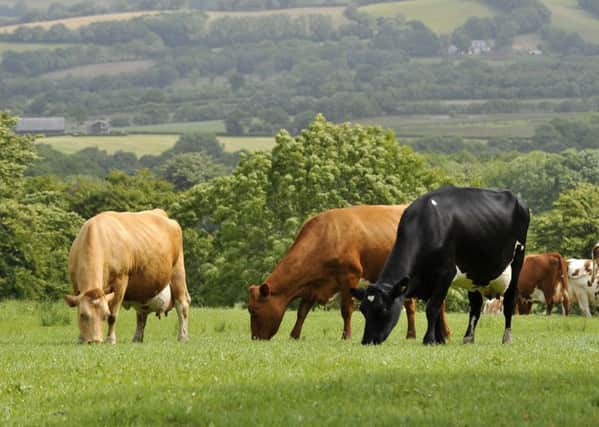 A watchdog committee of MPs want the Government to put into legislation its commitment to protected British food standards post-Brext. Picture by Ben Birchall/PA Wire.