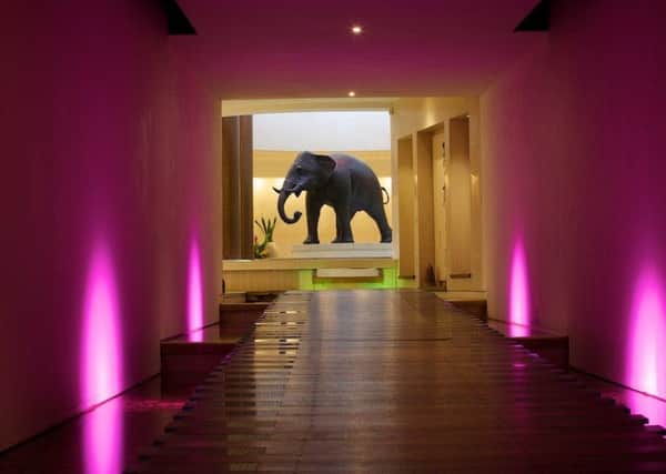 BATH TIME: An elephant greets you as you make your magical way to the spa.