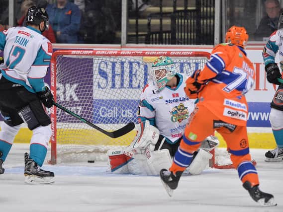 STRIKE ONE: Robert Dowd (No 75) fires home his and Sheffield Steelers' first goal on Sunday night against Belfast Giants. Picture: Dean Woolley