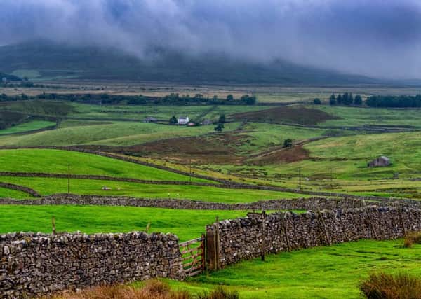 The quality of biodiversity in National Parks should be exemplary, according to the Yorkshire Dales National Park Authority. Picture by James Hardisty.