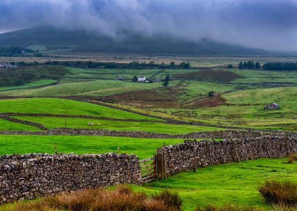 What is rural Yorkshire's wishlist this Christmas?