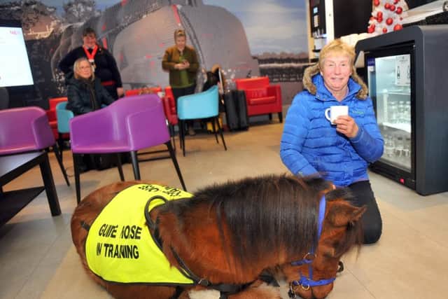 Katy Smith hasg a cup of tea with Digby in the first class lounge at Darlington railway station.