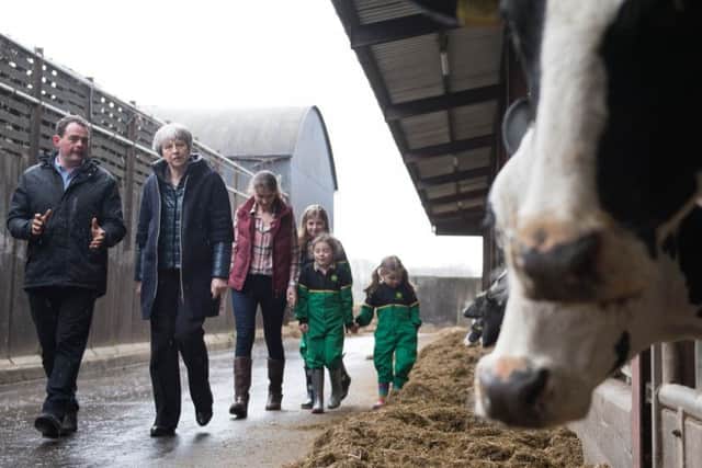 Theresa May during a rare farm visit.