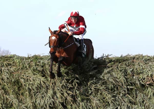 Grand National hero Tiger Roll could revert to hurdles for his next race.