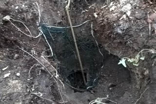 One sett was found with net over it.