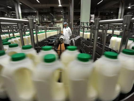 Arla will lower the price it pays its farmers for milk in January. Picture by Mark Bikerdike.