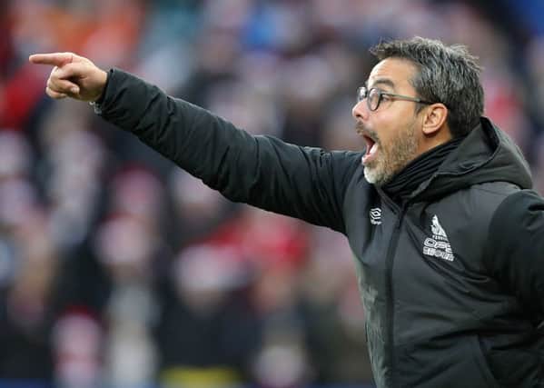 Ready for challenge: Huddersfield Town's David Wagner.
