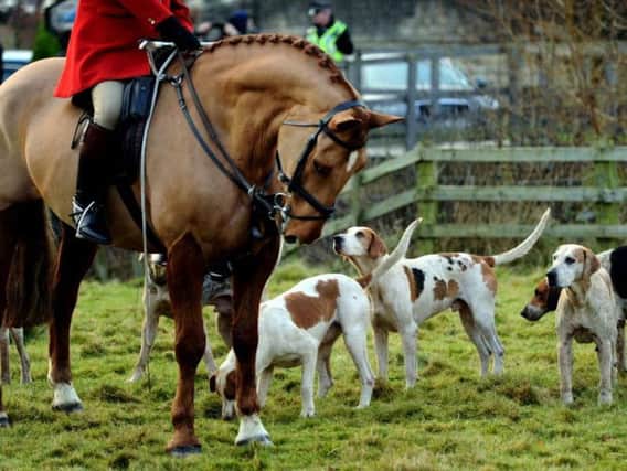 The Labour Party wants to strength the Hunting Act. Picture by Jonathan Gawthorpe.