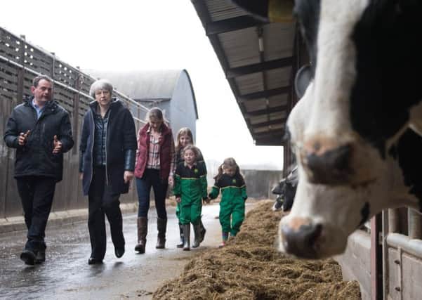 Theresa May during a farm visit, but will the rural economy and agriculture be ready for Brexit?