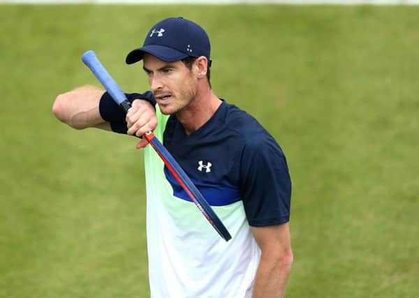 Andy Murray: Will start his latest comeback at the Brisbane International.