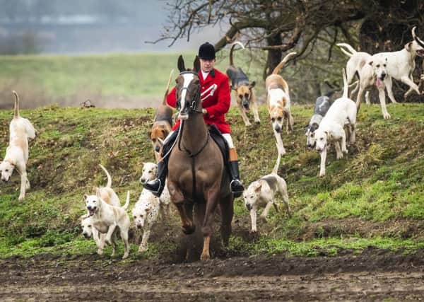 Does the Hunting Act need to be reformed?