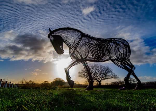 Featherstone's majestic war horse sculpture. Picture by James Hardisty.