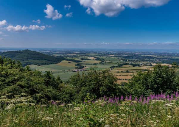 The view from Sutton Bank where the North York Moors National Park Authority wants to create a new 2.8km cycling trail. 
Picture by James Hardisty.