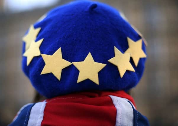 A 'Remain' supporter wears a combination of a beret representing the EU flag and the British flag while stood across from the Palace of Westminster in London.