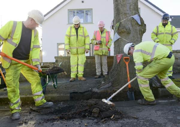 Workers from Amey prepare the road around  a tree on Chatsworth Road in sheffield for remedial work
