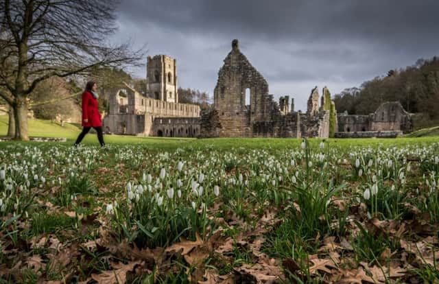 Spring is just around the corner at Fountains Abbey near Ripon in North Yorkshire