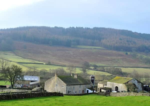 The Yorkshire Dales village of Appletreewick has existed in many guises, from a lead mining centre and busy market hub to a farming stronghold and popular tourist spot. Picture by Gary Longbottom.