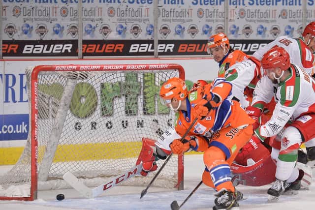 GET IN: Captain Jonathan Phillips pokes the puck home to pull Sheffield Steelers level at 2-2 against Cardiff Devils. Picture: Dean Woolley.